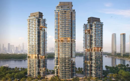 MERAAS « The Edit at d3 »